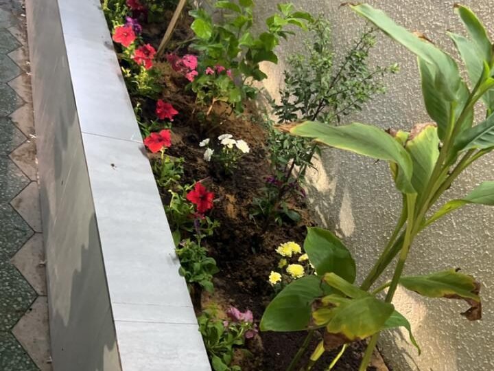احواض زراعيه